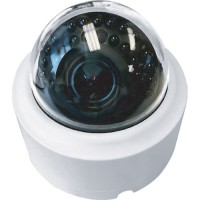 IP Network Indoor Dome Camera